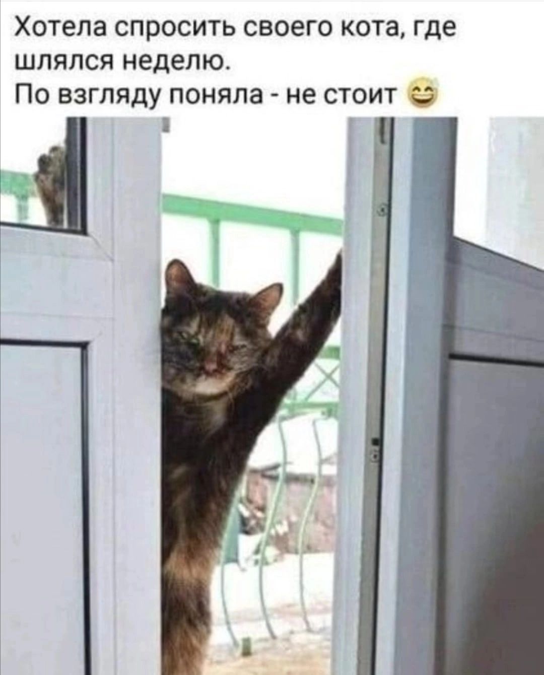 Хотела СПРОСИТЬ СВОЕГО кота Где ШЛПЛСЯ НЕДЕЛЮ ПО ЕЗГППДУ ПОНЯПЗ не СТОИТ