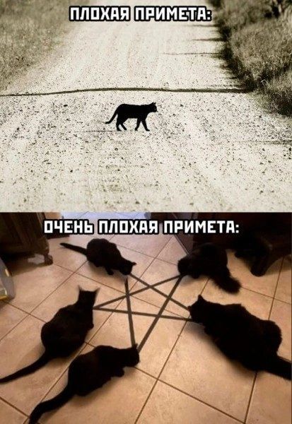 д7 ппимв тд