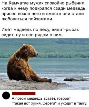 На Камчатке мужик спокойно рыбачип когда к нему подкрался сзади медведь присел ВОЗПО НЭГО И ВМВСТВ ОНИ СТЗПИ любоваться пейзажами Идёт медведь по лесу видитрыбак сидит ну и сел рядом с ним А потом гладишь встаёт говорит такая вот няня Серёга и уходит в тайгу