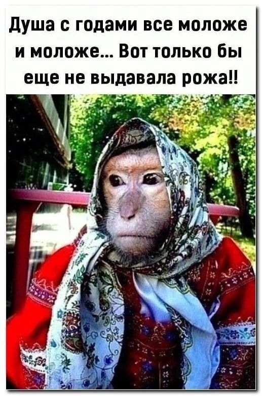 душа с годами все моложе и моложе Вот только бы ожа