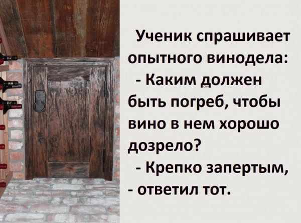 Ученик спрашивает опытного винодела Каким должен быть погреб чтобы вино в нем хорошо дозрело Крепко эапертым ответил тот