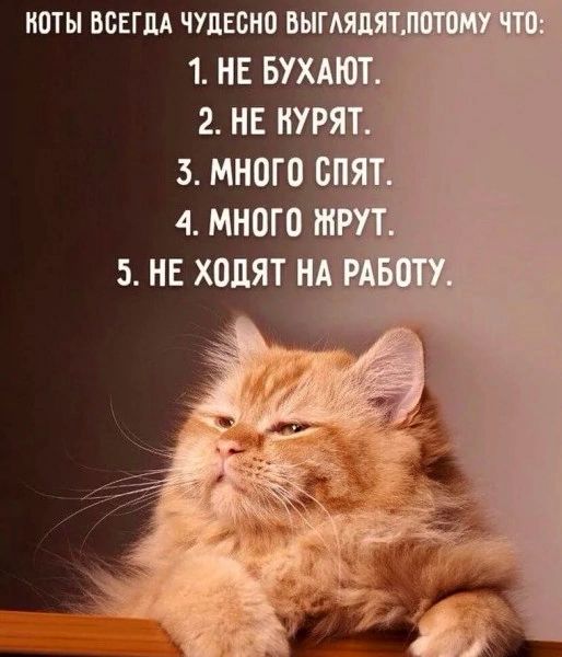 4 МНОГО 5 НЕ ХОЦЯТ