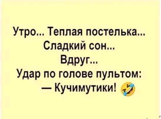 Утро Теплая постелька Сладкий сон Вдруг Удар по голове пультом Кучимутики