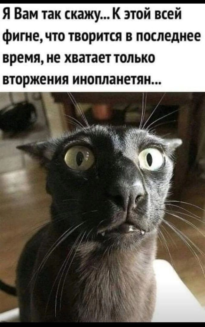 Я Вам так скажу К этой всей фигне что творится в последнее время не хватает только вторжения инопланетян