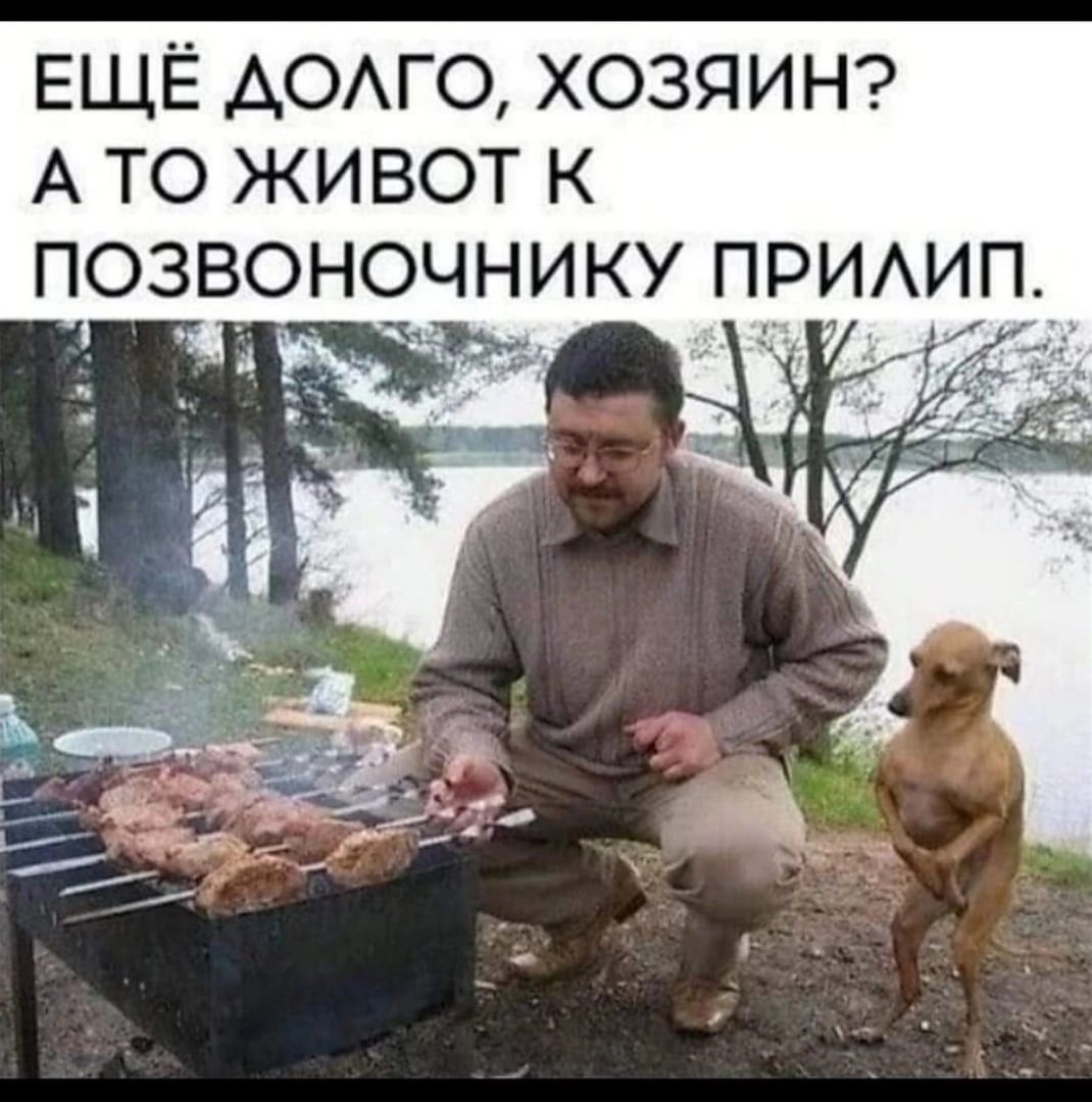 ЕЩЁ АОАГО ХОЗЯИН А ТО ЖИВОТ К ПОЗВОНОЧНИКУ ПРИАИ1П Ь