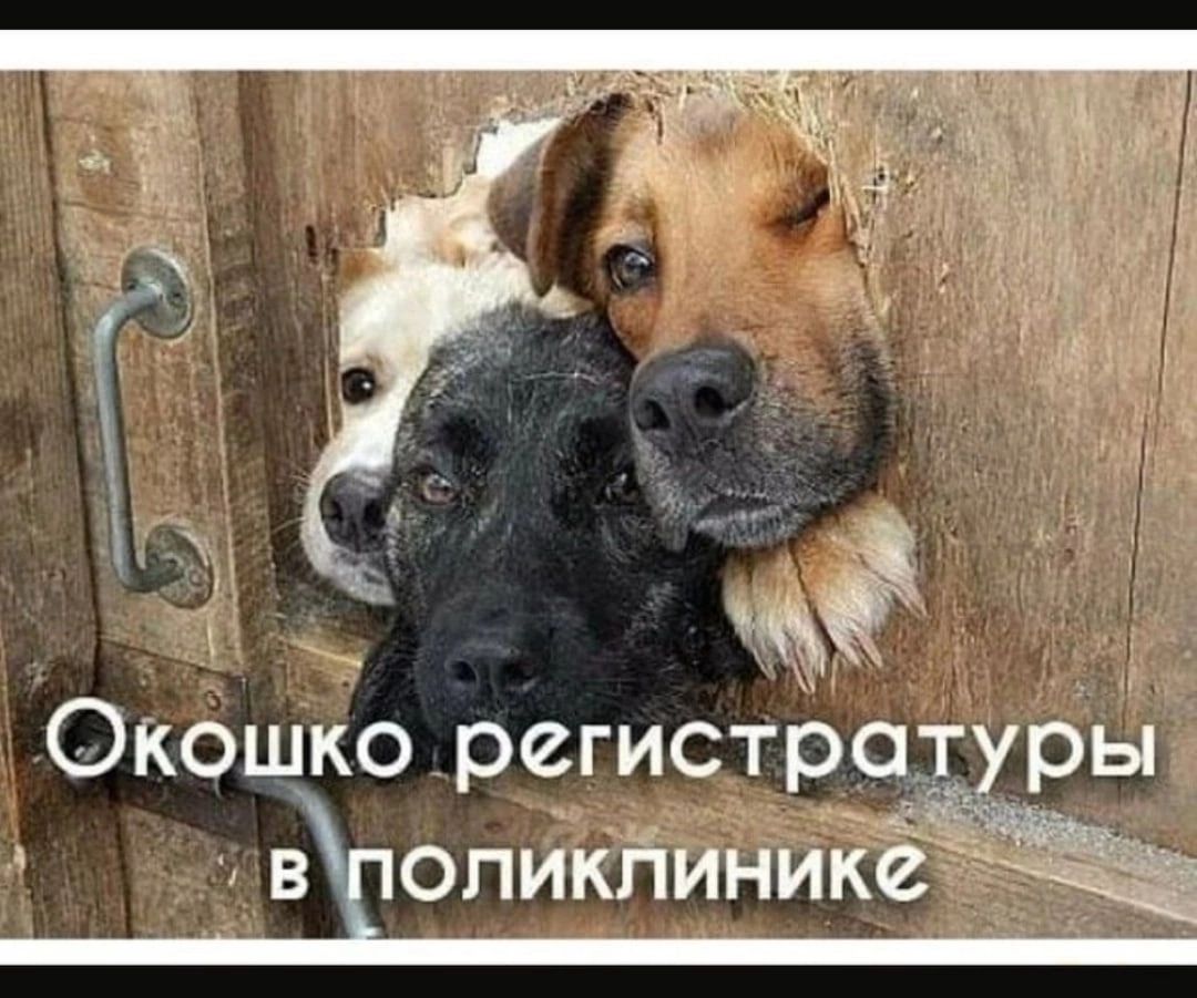 Окошко регистратуры вЕопик11инике