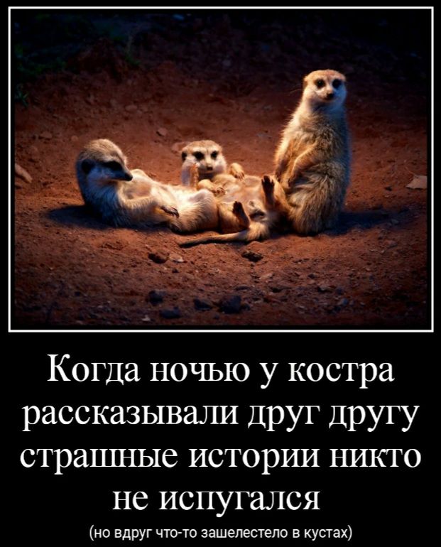 Когда ночью у костра рассказывали друг другу страшные истории никто не испугался но вдруг чине зашепестело в кустах