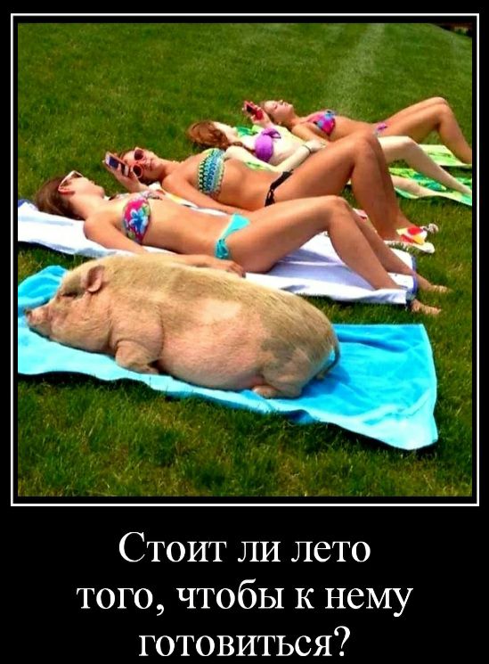 Стоит ли лето того чтобы к нему готовиться
