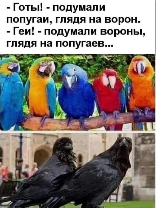 Готы подумали попугаи глядя на ворон Геи подумали вороны ГЛЯДЯ на попугаев