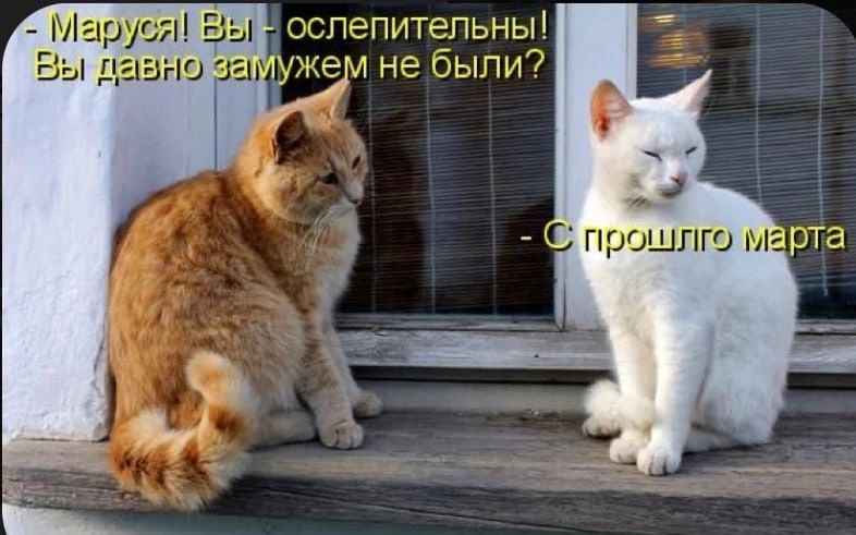 ЭПЭПЪГГ ГЬНЫ ч не ыпид