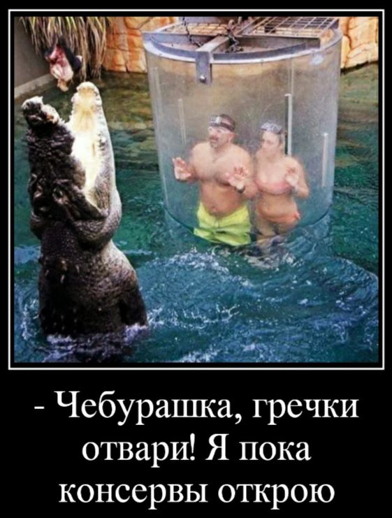 Чебурашка гречки отварИ Я пока консервы открою