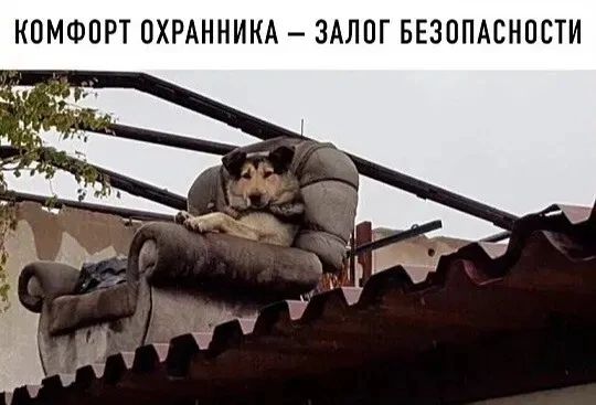 КОМФОРТ ПХРАННИКА ЗАЛПГ БЕЗППАСНПСТИ