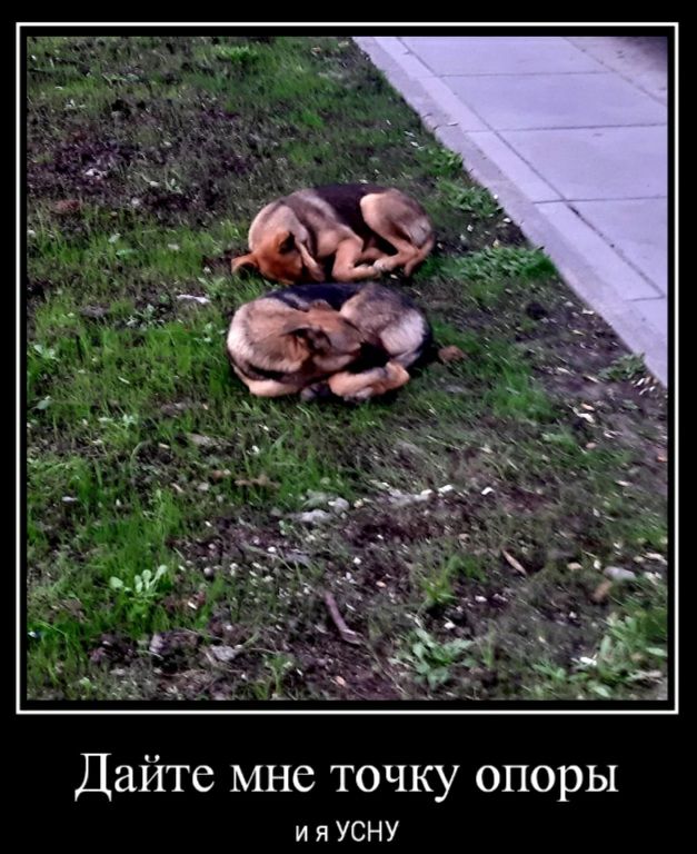 Дайте мне ТОЧКУ ОПОРЫ и я УСНУ