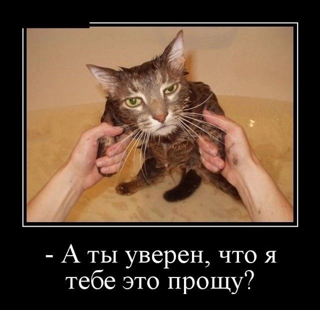 А ты уверен что я тебе это прощу