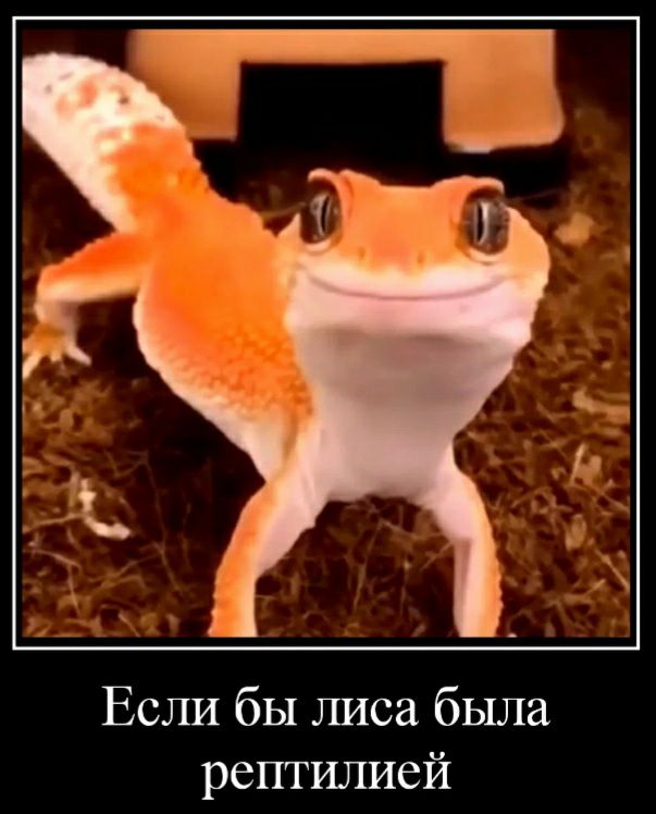 Если бы лиса была рептипией