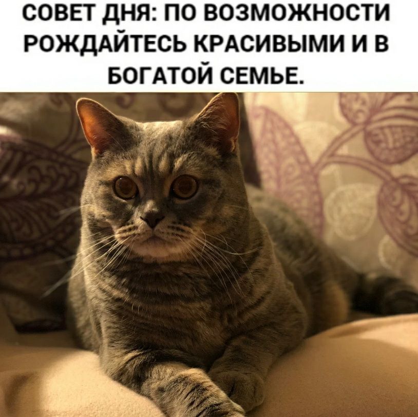 СОВЕТ ДНЯ ПО ВОЗМОЖНОСТИ РОЖДАЙТЕСЬ КРАСИВЫМИ и в БОГАТОЙ семыг