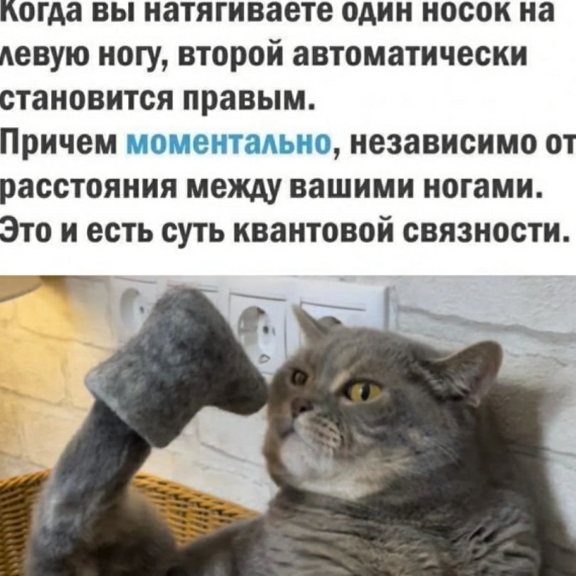 когда вы натягиваете один носок на левую ногу второй автоматически становится правым Причем моментально независимо от расстояния между нашими ногами Это и есть суть квантовой связности _в