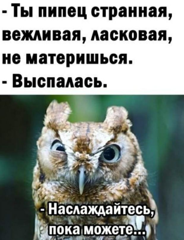 Ты пипец странная вежливая ласковая не материться Выспадась Ё А 1333 Насдаждаитеспь п_ока _можее