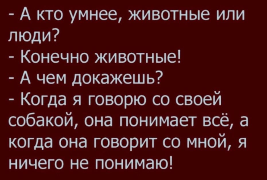 А кто умнее животные или люди Конечно животные А чем докажешь Когда я говорю со своей собакой она понимает всё а когда она говорит со мной я ничего не понимаю