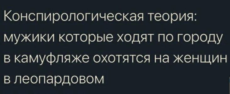 Конспирологическая теория мужики которые ходят по городу в камуфляже охотятся на женщин в пеопардовом