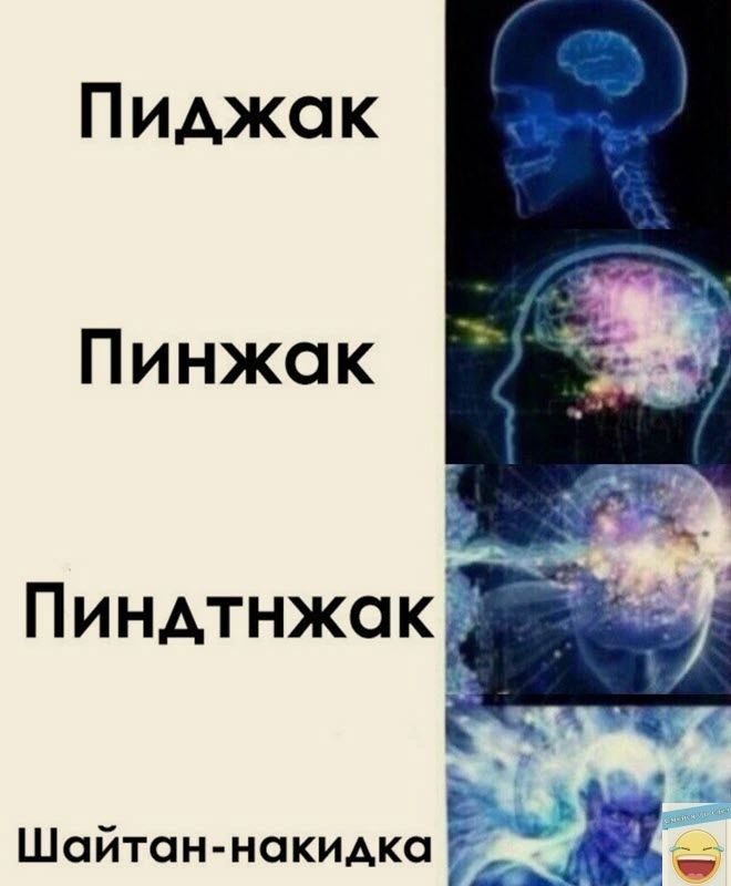 Пиджак Пинжок ПИНинжекй Шситан нокидка і