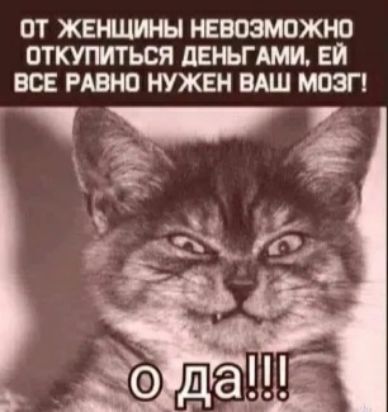 ОТ ЖЕНЦИН РЕБОЗМОЖЮ ОТКУПИТЬСЯ дЕНЬГМ ЕЙ ВСЕ РАВНО НУЖЕН ВАШ МОЗГ