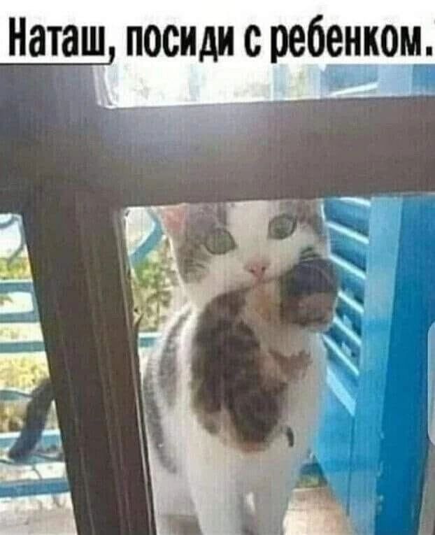 Наташ посидисребенком