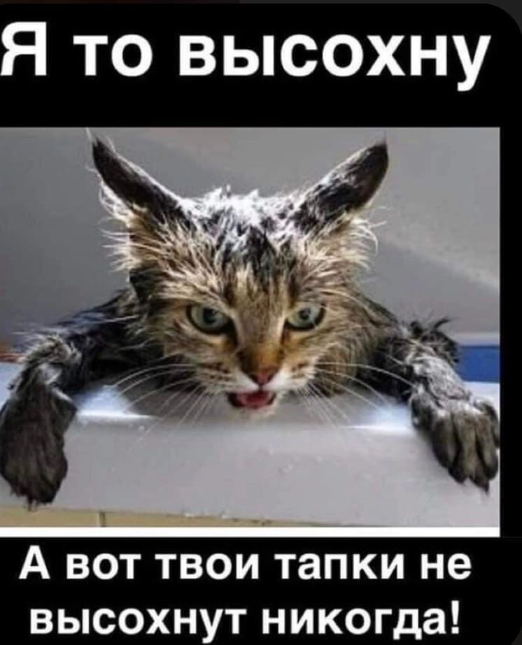 ТО ВЫСОХНУ А вот твои тапки не высохнут никогда
