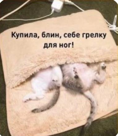 бти для ног