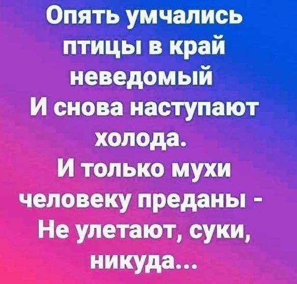 Опять умчапись птицы в край неведомый И снова наступают холода И только мухи человеку преданы Не улетают суки никуда