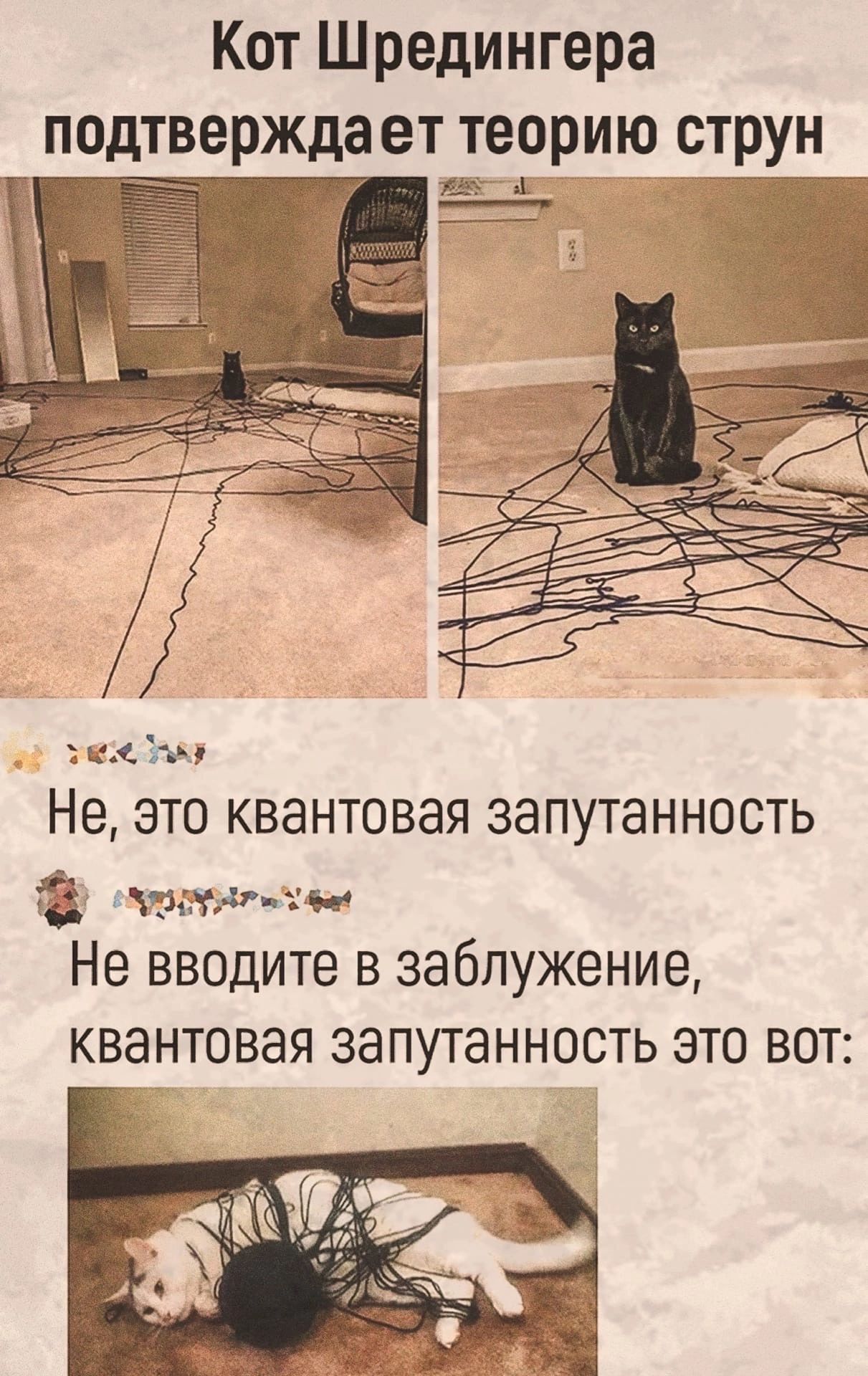 Кот Ш редингера подтверждает творит струн __ тс Не ЭТО КВЭНТОВЭЯ ЗЭПУТЭННОСТЬ эщщ ым Не вводите в заблужение квантовая запутанность это вот