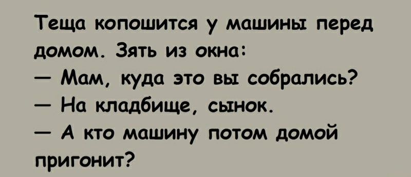 Теща копошитсл у машины перед дшом Зять из окна Мам куда это вы собрались На кладбище сынок А кто машину потом домой пригонит