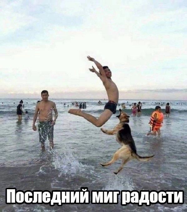 Црсщднии МИГ рада