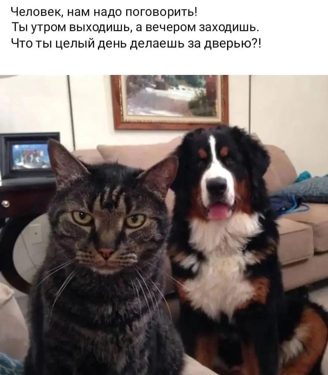 Человек нам надо поговорить Ты утром выходишь а вечером заходишь Что ты целый день делаешь за дверью