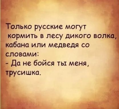 Только русские могут кормить в лесу дикого волка кабана или медведя со словами Да не бойся ть меня трусишка