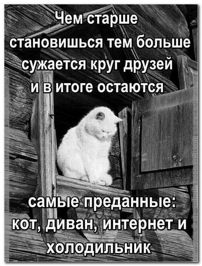 нтернедги