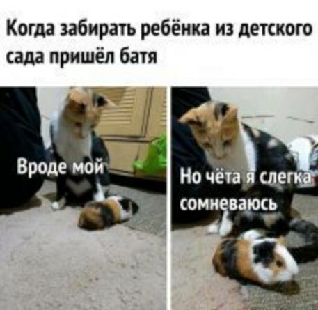 Когда забирать ребёнка из детского сада пришёл батя