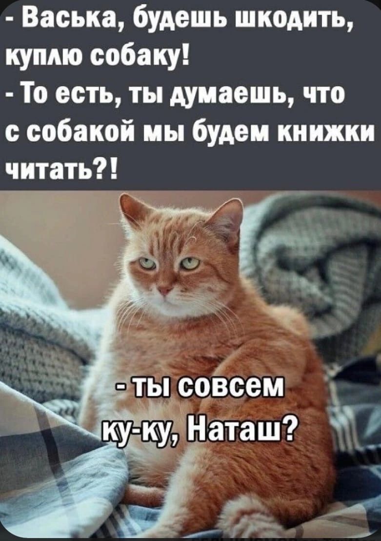 Васька будешь шкодкть купмо собаку То есть ты думаешь что с собакой мы будем книжки читать ТЫ СОВСЕМ