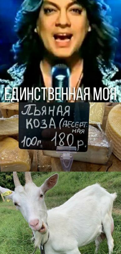 тли МЖ ЛЁЬЯНДЯ КОЗАЙЕСГ 057