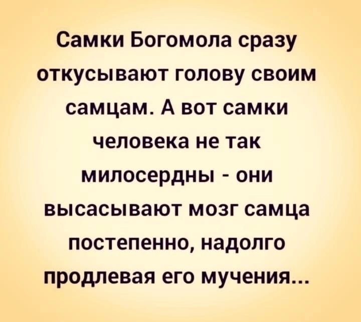 Самки Богомола сразу откусывают голову своим самцам А вот самки человека не так мипосердны они высасывают мозг самца постепенно надолго продлевая его мучения