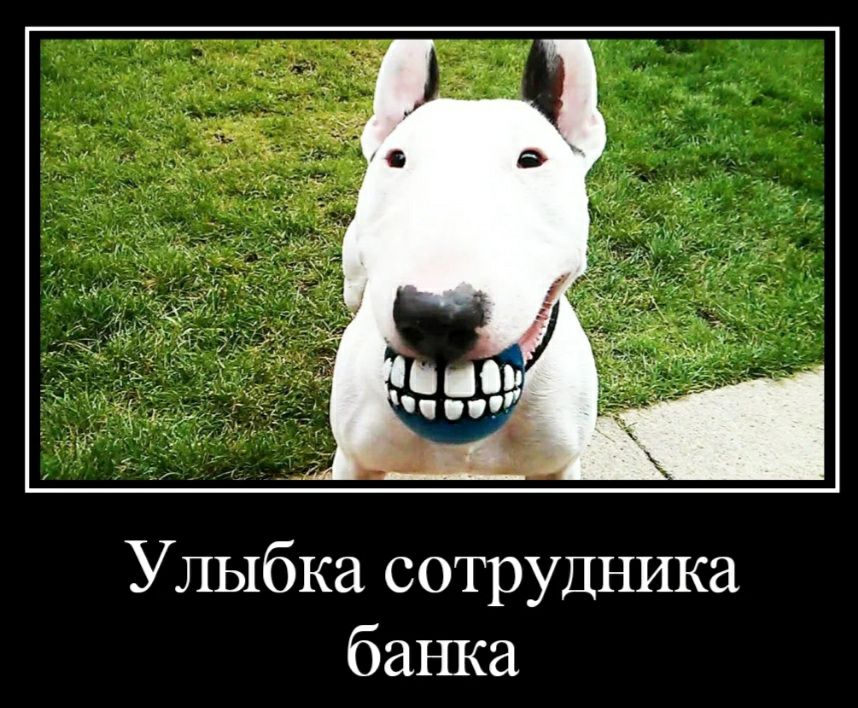 Улыбка сотрудника банка