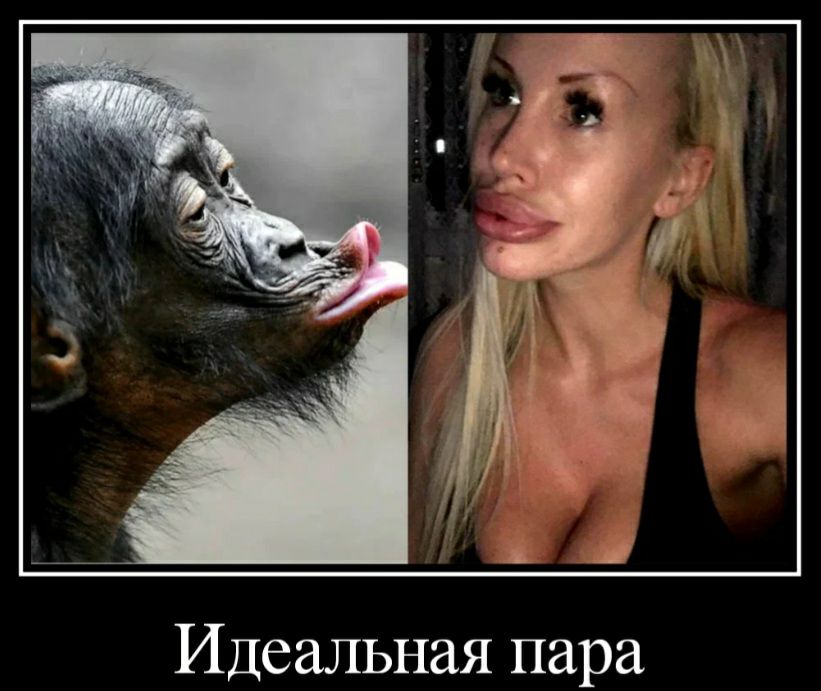 Идеальная пара