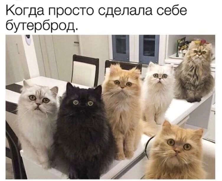 Когда просто сделала себе бутерброд