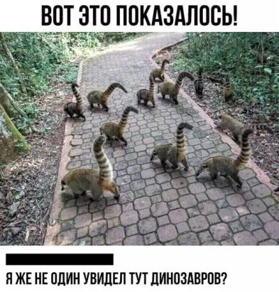 ВОТ ЭТО ПОКАЗАЛПСЬ Я ЖЕ НЕ ШИН УБИЛЕЛ ТУТ ЛИНПЭАВРПБ