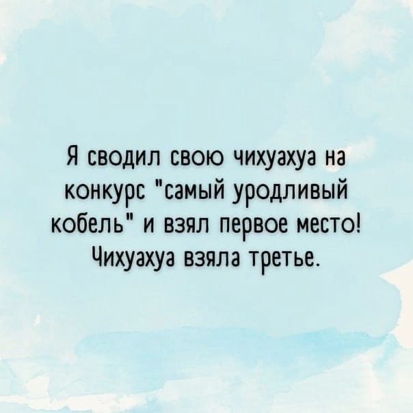 Я сводил свою чихуахуа на конкурс самый уродливый кобель и взял первое место Чихуахуа взяла третье