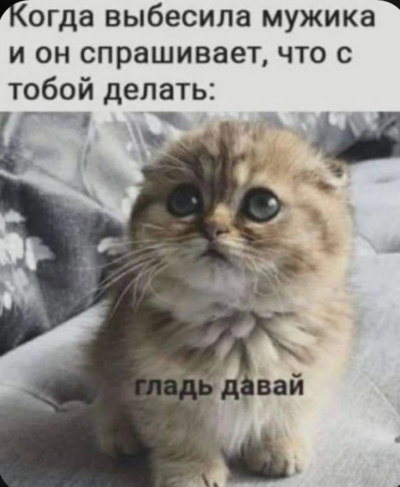 Когда выбесила мужика и он спрашивает что с тобой делать