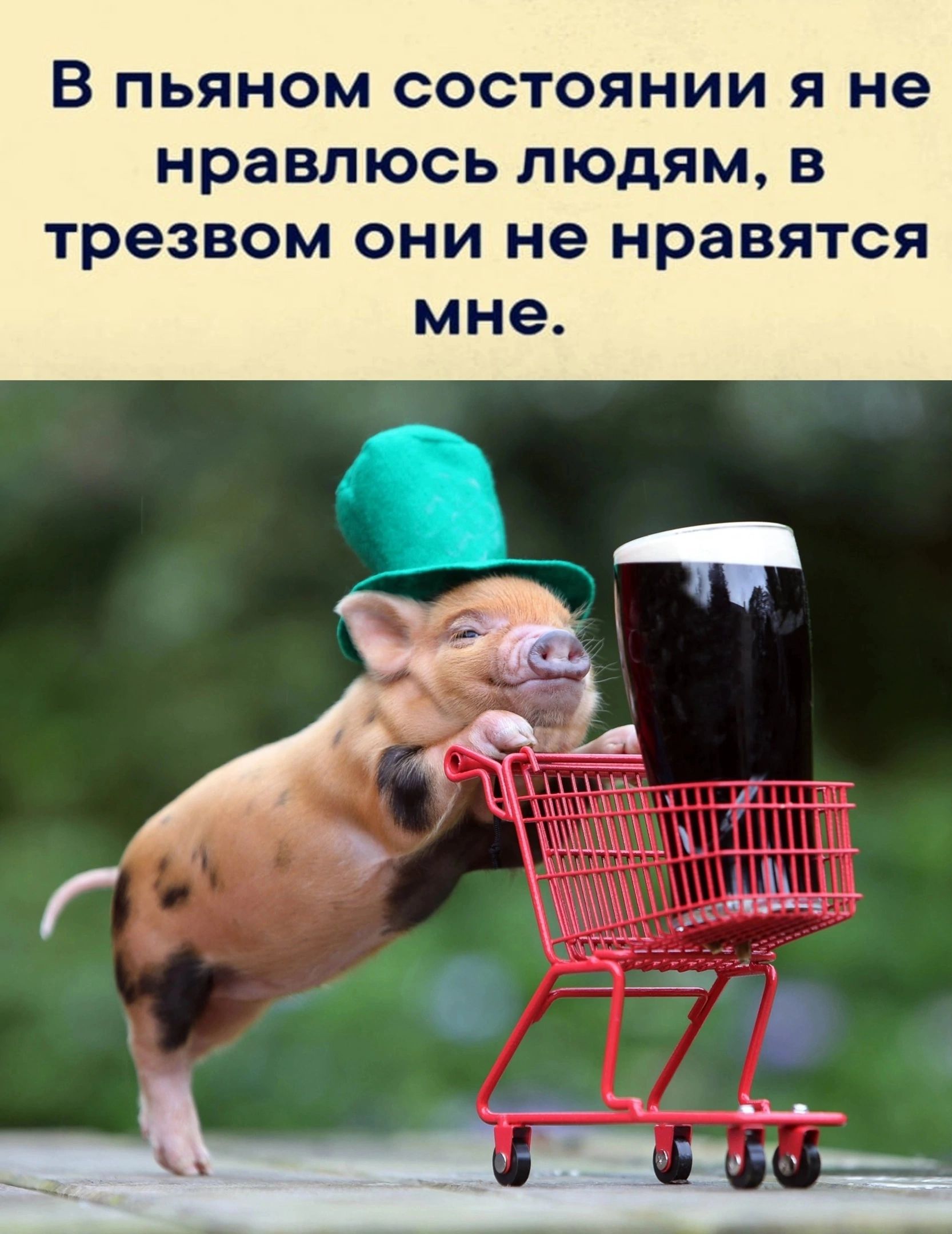 В ПЬЯНОМ СОСТОЯНИИ Я не нравлюсь ЛЮДЯМ В трезвом ОНИ не НРЗВЯТСЯ мне
