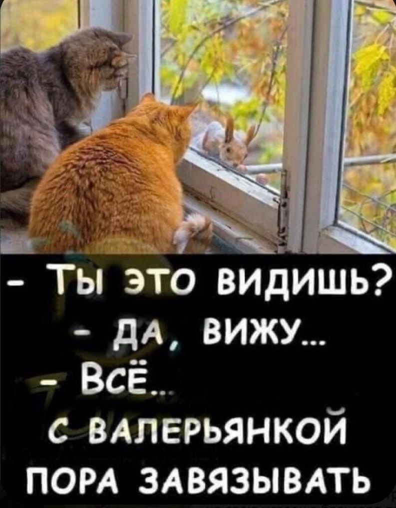 ъ ы это видишь дА вижу Всё ВАЛЕРЬЯНКОЙ пом зАвязывдть