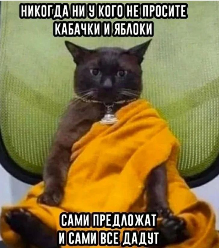 НИКПГЩА НИ В КВП НЕЩРПСИТЕ КАБАЧКИИ ЯБАПКИ