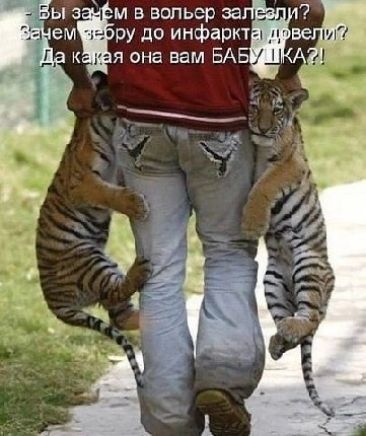 ЗЫ а м в вольер за ем ру до инфаркт я она вам БАБ